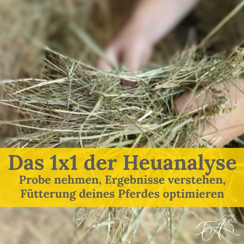 Onlinekurs Das 1x1 der Heuanalyse